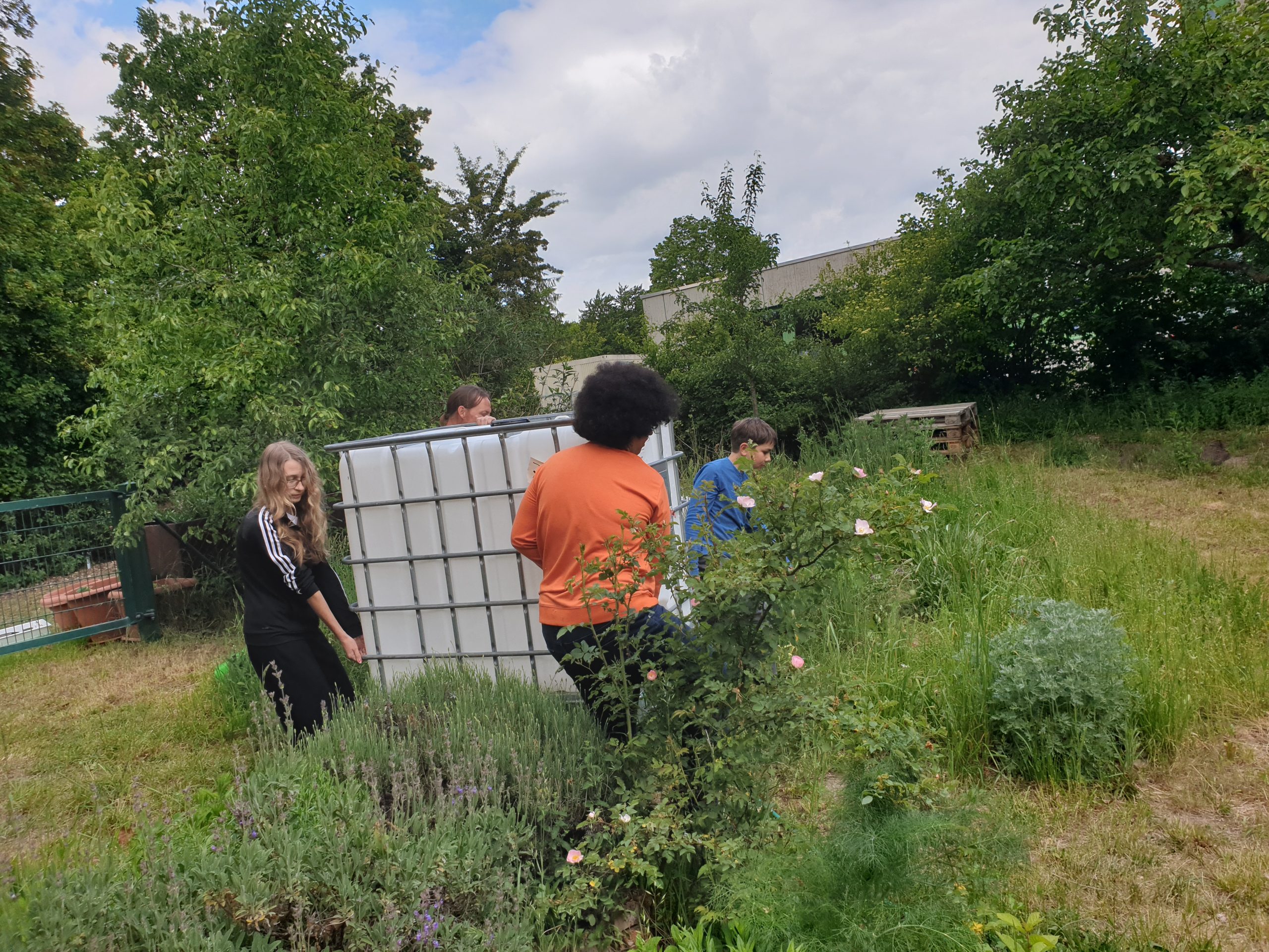 Installation des neuen Regenwassercontainers im Schulgarten