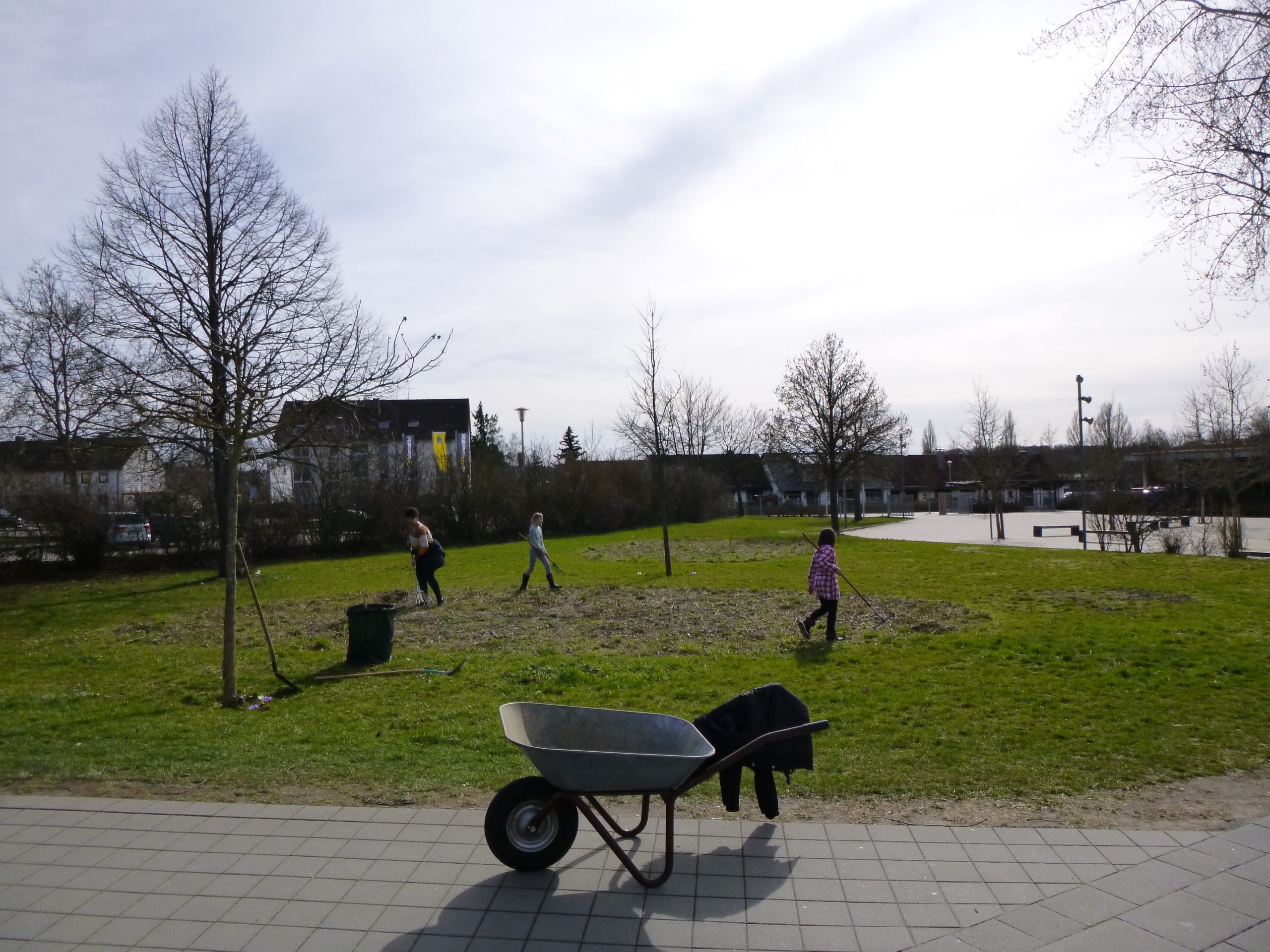 Blühwiesenpflege
