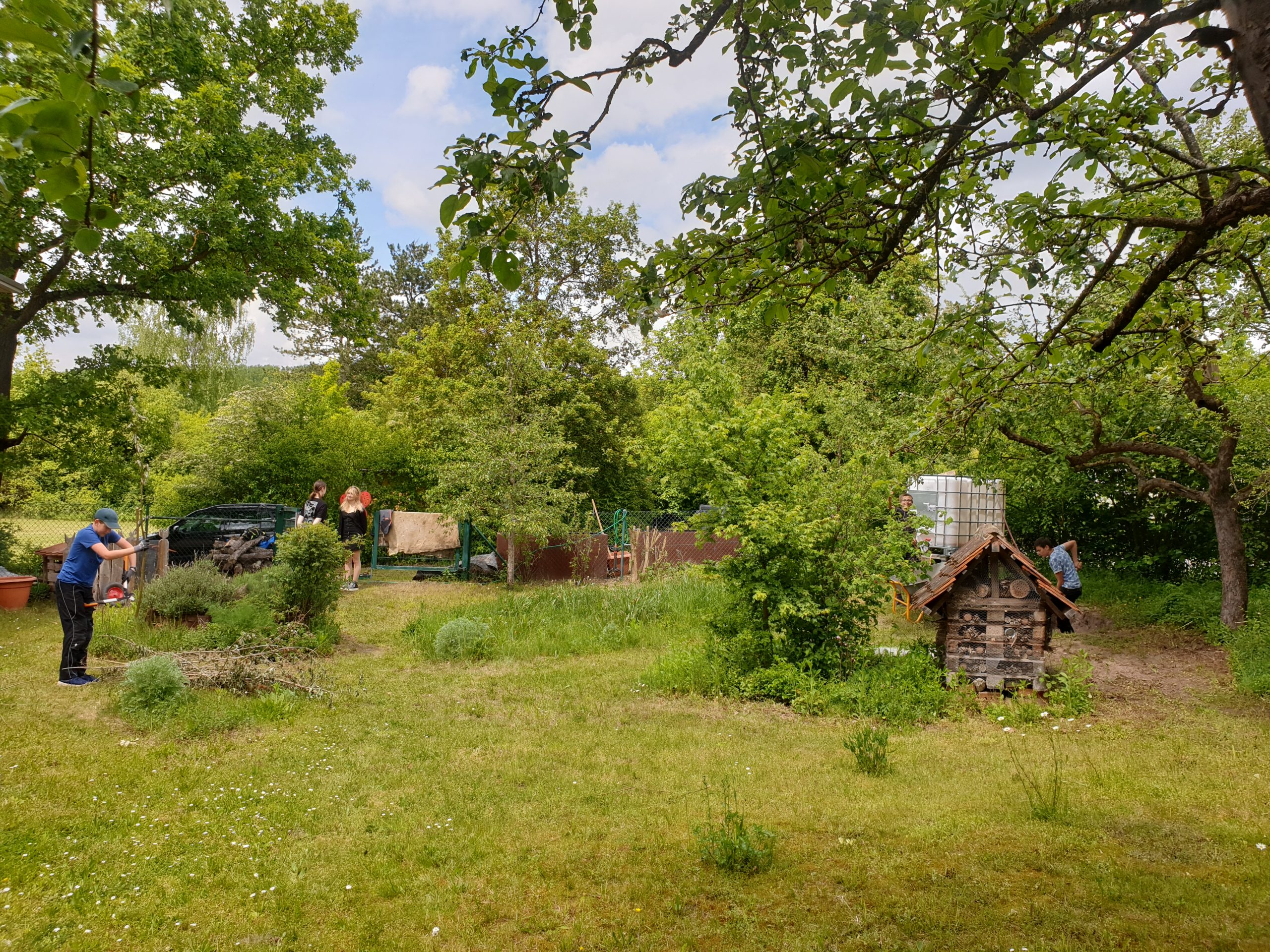 Frühjahrspflege Schulgarten