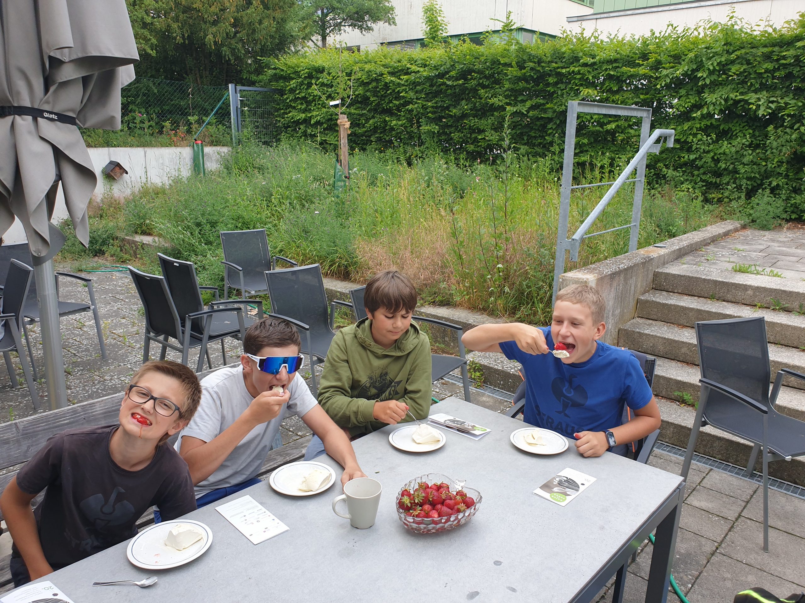 Verkostung der Erdbeeren
